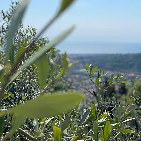 Ca' Da Tollo 3*