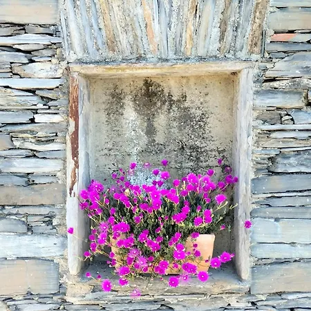 Pensión Ca' Da Tollo Cogorno